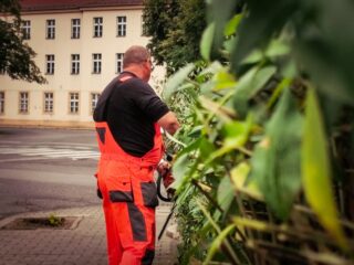 Na zdjęciu widać przycinanie krzewów na ulicy Jagiellońskiej w Szczakowej