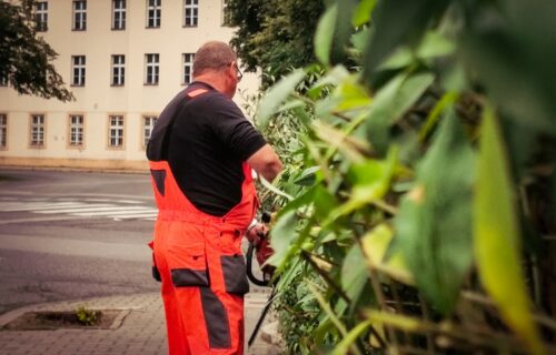 Na zdjęciu widać przycinanie krzewów na ulicy Jagiellońskiej w Szczakowej