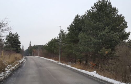 Sulińskiego