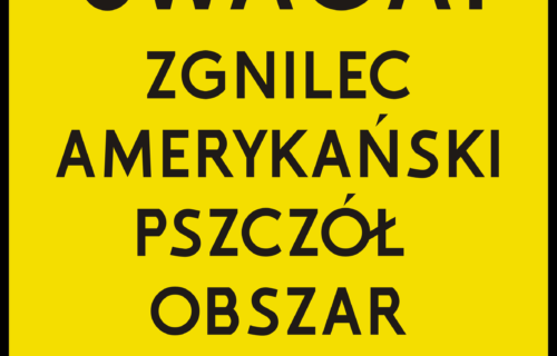 Znak-ostrzegajacy-przed-zgnilcem-amerykanskim-pszczol